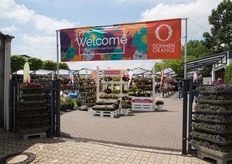 Welcome to the German FlowerTrials location of Dümmen Orange in Rheinberg. 